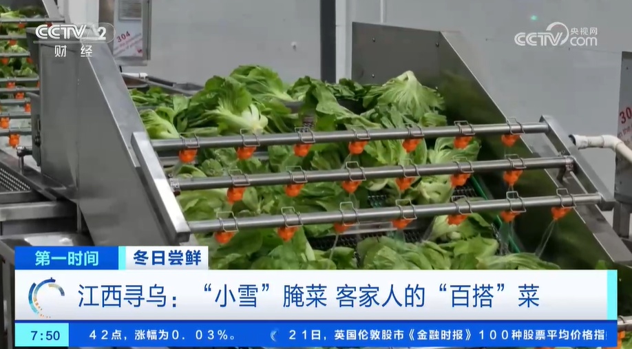 小雪节气 “菜篮子”也丰富 大棚蔬菜上市 &nbsp;冬笋、咸菜正当时
