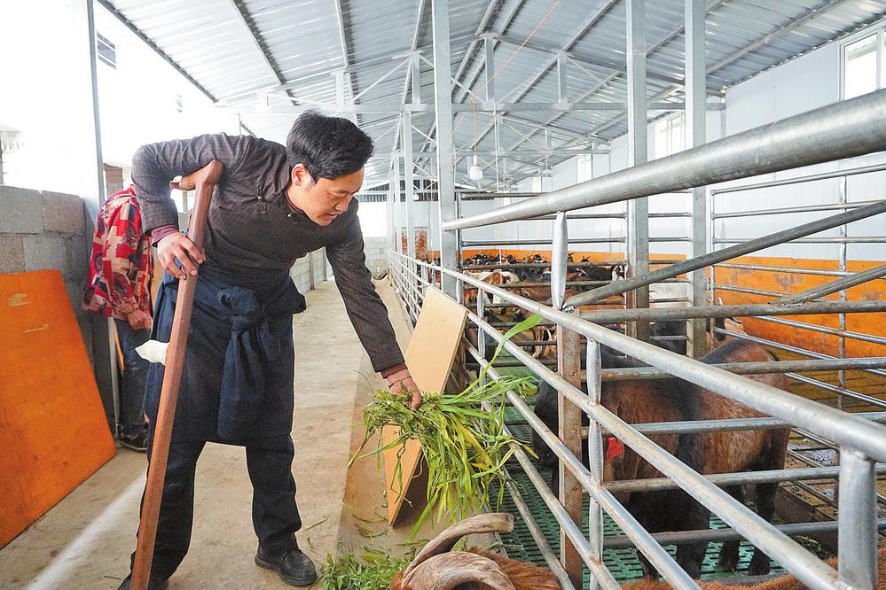 53170f89-788d-4f0d-a388-4adab37af2b6 53170f89-788d-4f0d-a388-4adab37af2b6