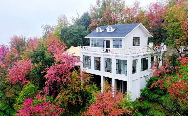 （采访传编辑）美好生活在云南 在无量山樱花谷，有一种生活叫“花之旅” (1).jpg