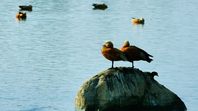 12月12日 (2)(2)副本.jpg