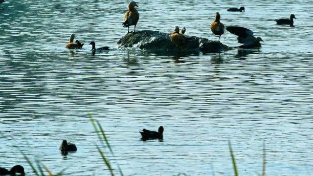 12月12日 (2)(4)副本.jpg