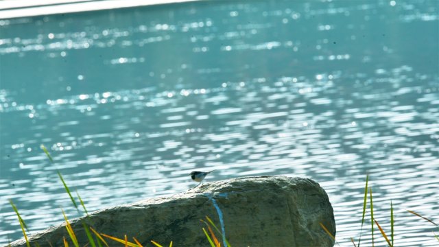 12月12日 (2)(1)副本.jpg