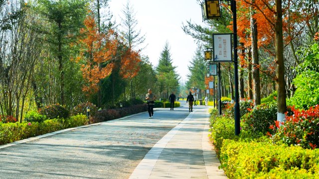 12月12日 (2)(14)副本.jpg