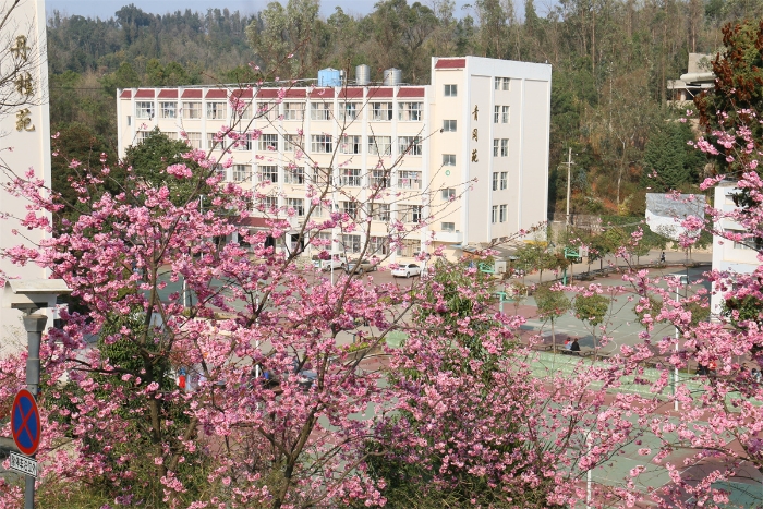 宿舍 丹桂苑 青冈苑 宿舍 丹桂苑 青冈苑