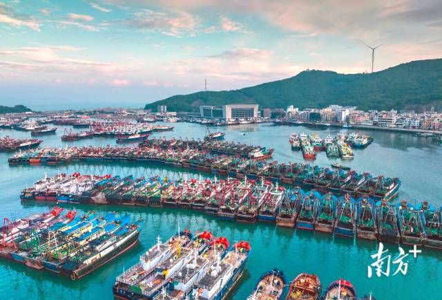 阳江闸坡中心渔港,风平浪静,渔船整齐排列。南方拍客 刘正亮 摄