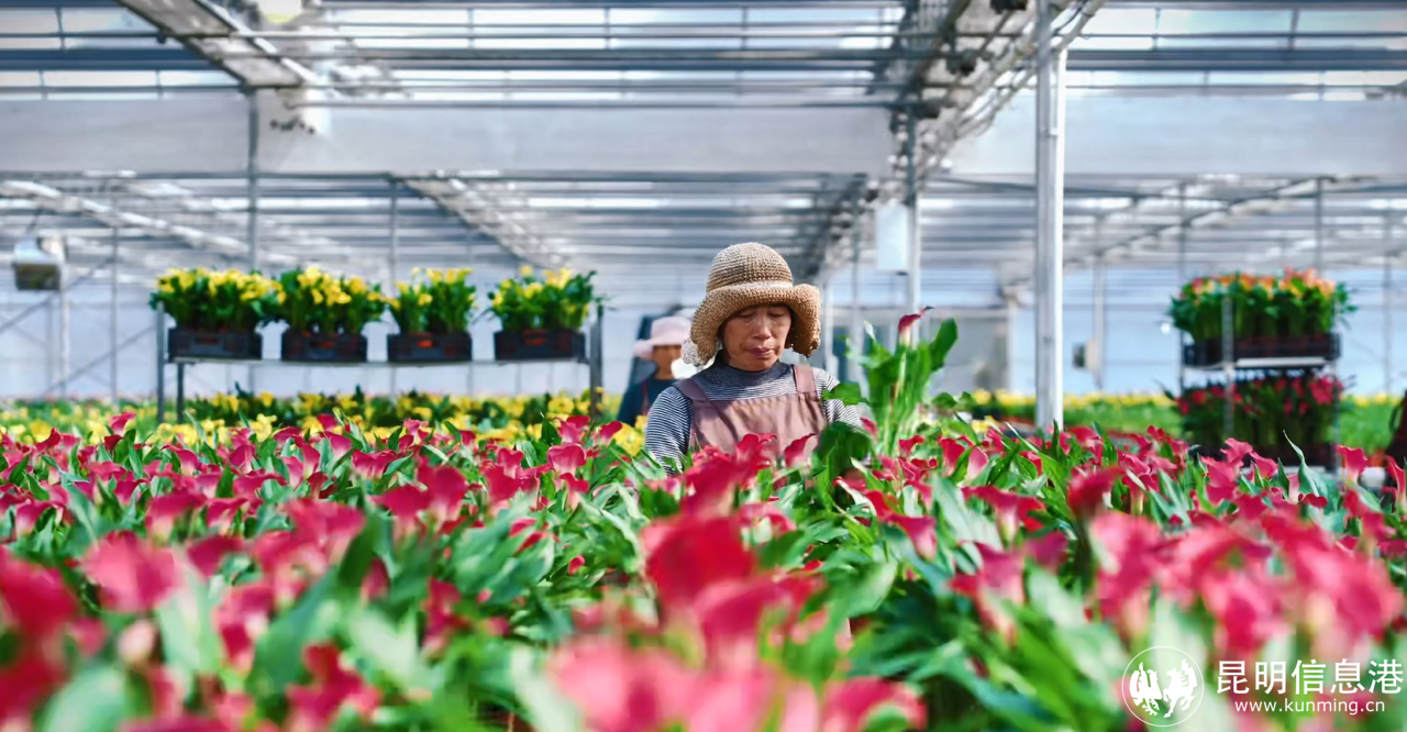 DM_20250110173029_004