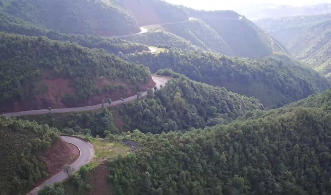 640_wx_fmt=jpeg&from=appmsg&tp=webp&wxfrom=5&wx_lazy=1&wx_co=1.webp (14).png