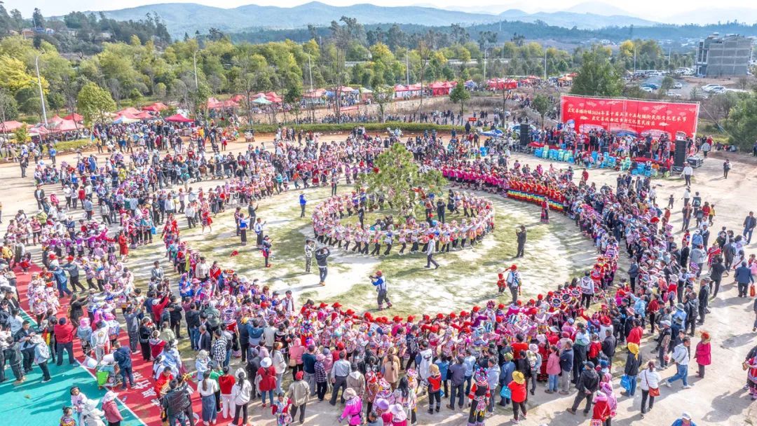 2024武定县正月十五赶猫街跌脚狂欢