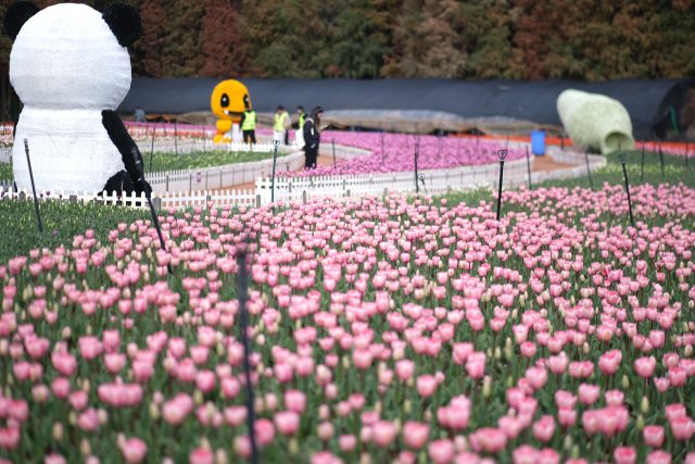 捞鱼河郁金香 (7).jpg