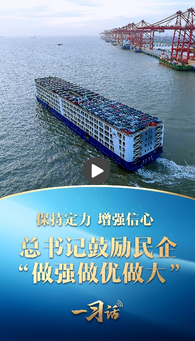 微信截图_20250221193941