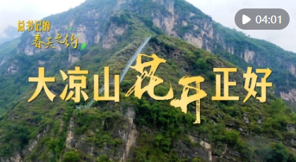 微信截图_20250228124509