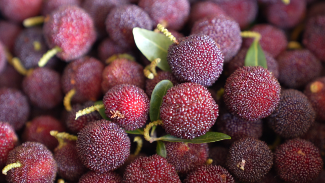 全国最早石屏特早杨梅抢“鲜”上市 (7).png