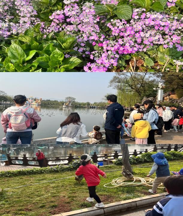 492254d87c19bf1be54487f2533408be