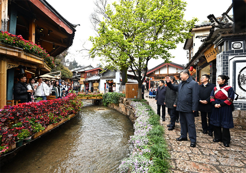 77466ba76396142189af6357386b3cdb7