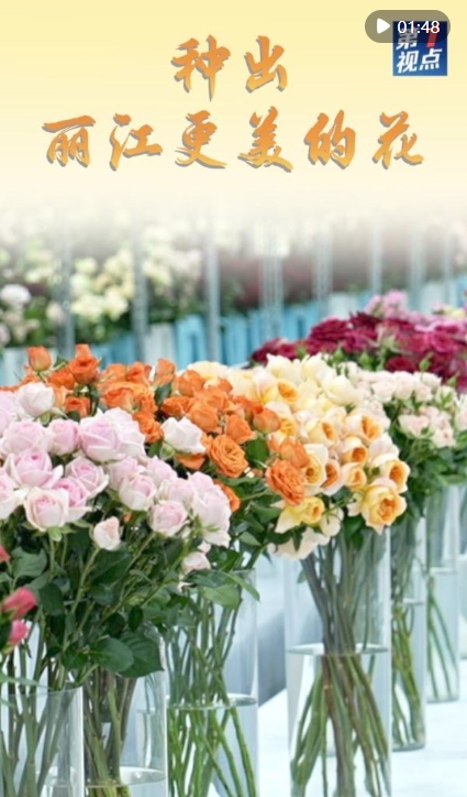 微信截图_20250320204446