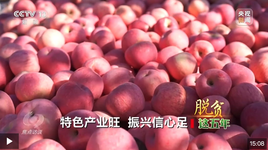 截屏2025-03-22 09.13.51