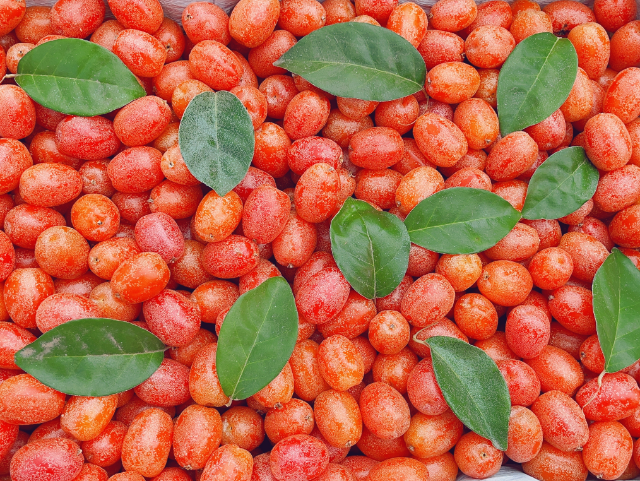 腾冲羊奶果 (5).png