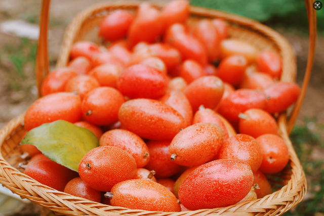 腾冲羊奶果 (8).png