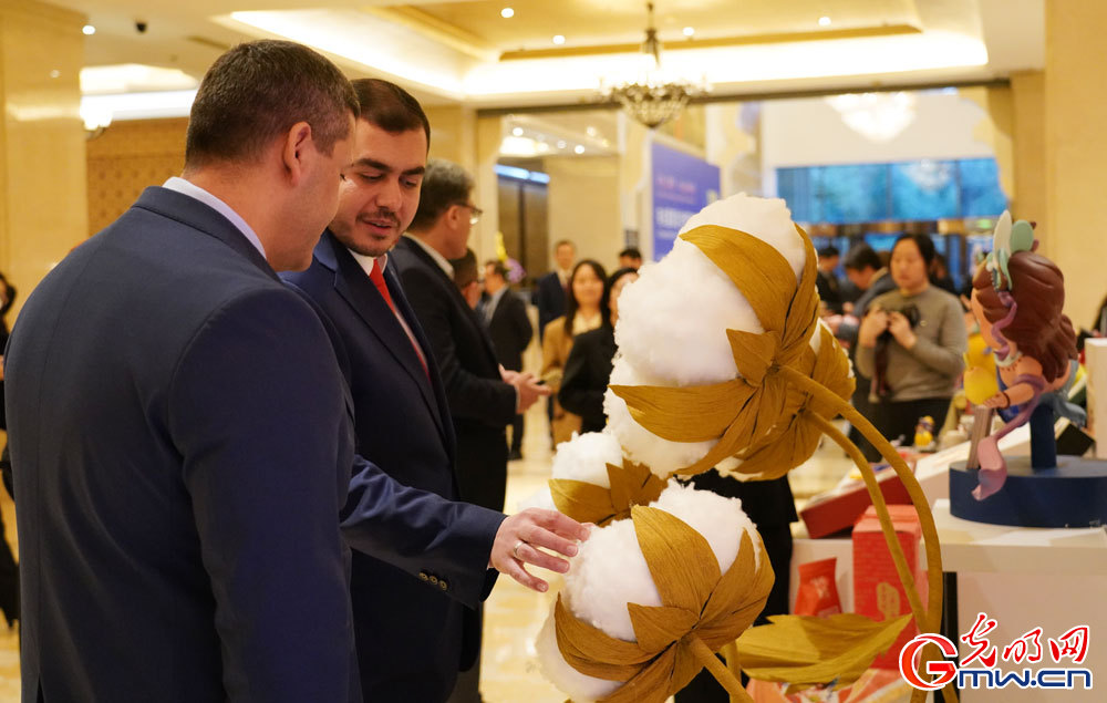 Foreign envoys praise Xinjiang's development at exchange meeting