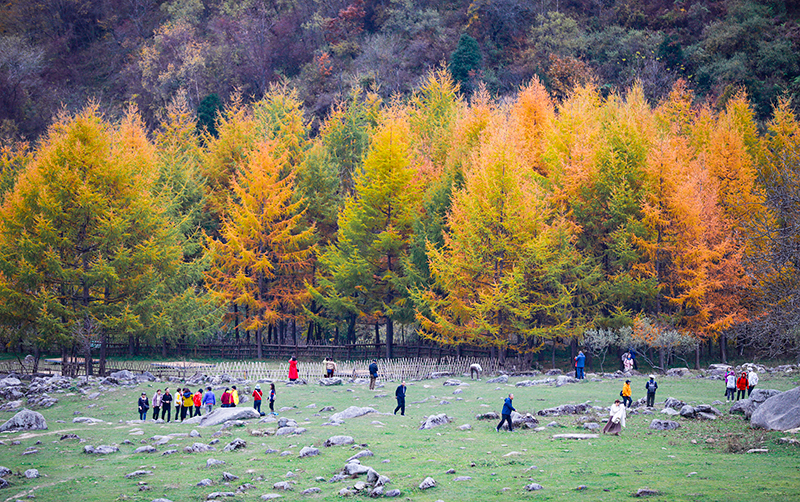 2023年10月27日,深秋时节的陕西秦岭太子岭漫山红黄、色彩交织,进入最佳观赏期。