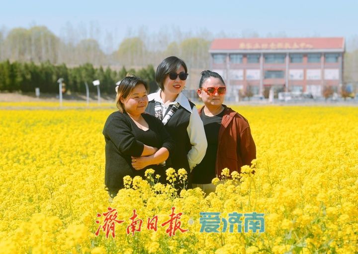 油菜花开又逢君 季春时节遍地金
