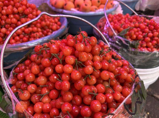 昆明头水樱桃上市1.jpg