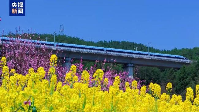 1.26亿人次去哪儿了？清明小长假消费“三件套”