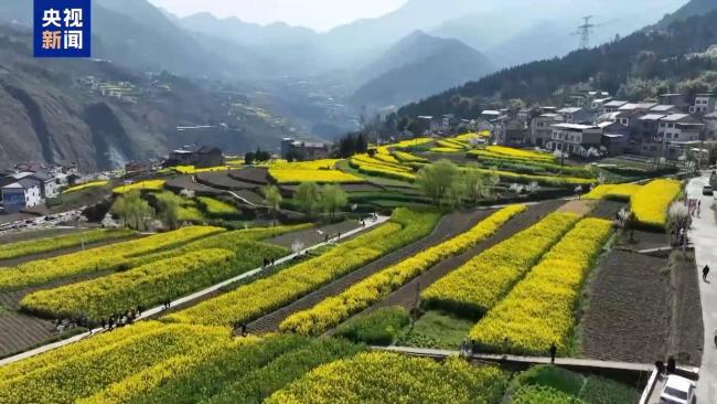 1.26亿人次去哪儿了？清明小长假消费“三件套”