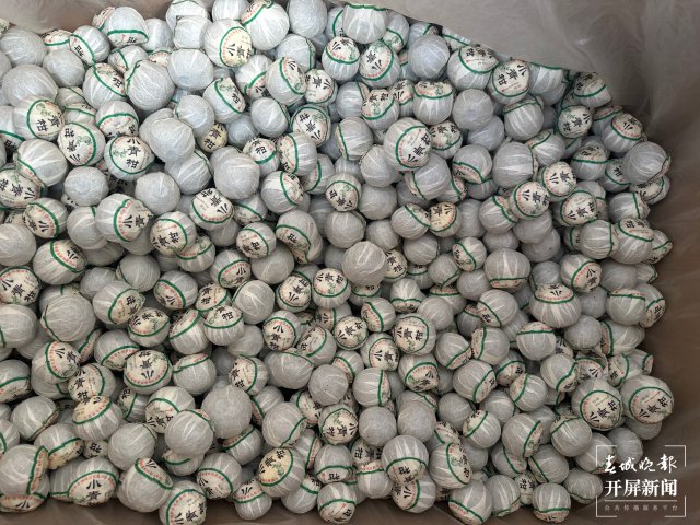 (采访传编辑)美好生活在云南 无量山春意盎然采茶忙 (3).jpg