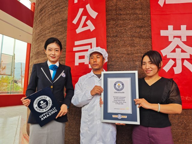 图片说明:4月9日,临翔区重达150.71吨的巨型茶柱正式获得“世界最大紧压茶”称号(2025年4月9日 易思敏摄).jpg