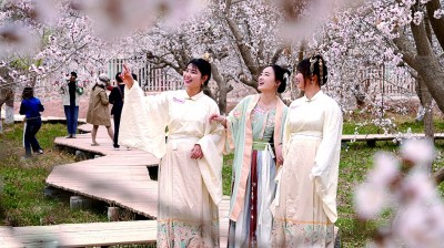 【文化中国行】在新疆寻找春天 【文化中国行】在新疆寻找春天