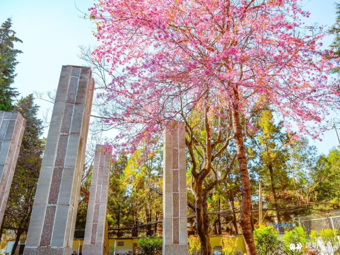 b7ba3c7fe5fa77d97afd1ce232da720