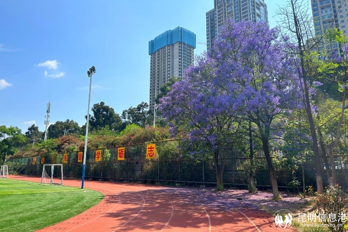 微信图片_20240422113607