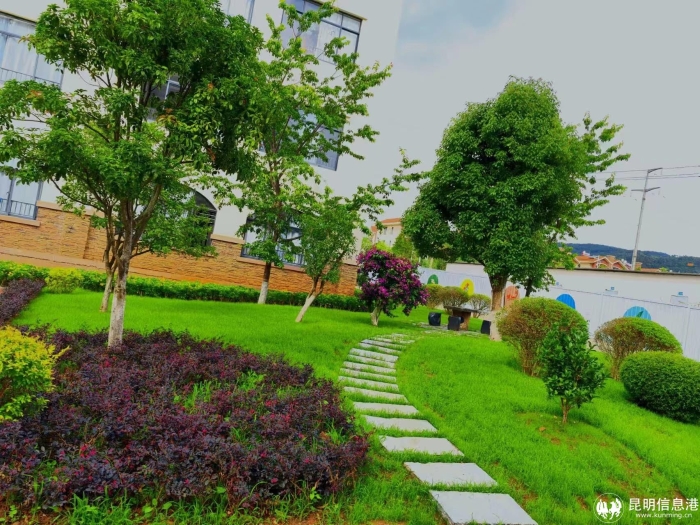 788ba00390e50969fc68f7830941e6a