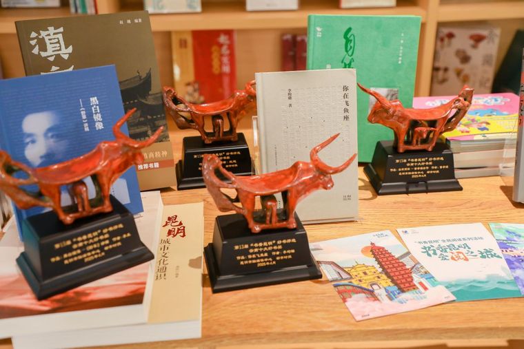 本届书香昆明“云南十大好书”及文创展 (2)