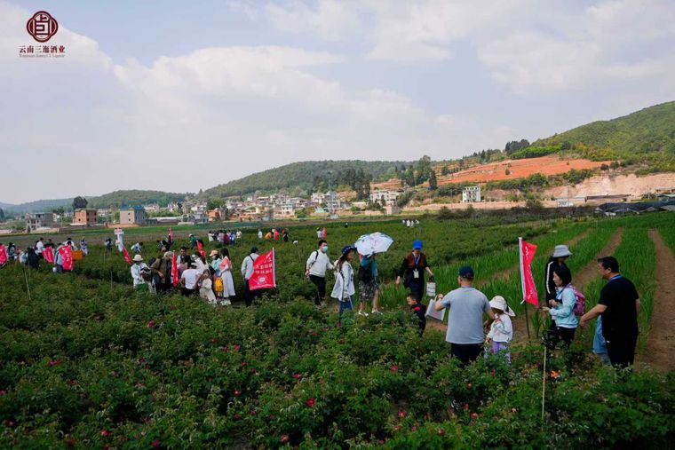 微信图片_20250427142034