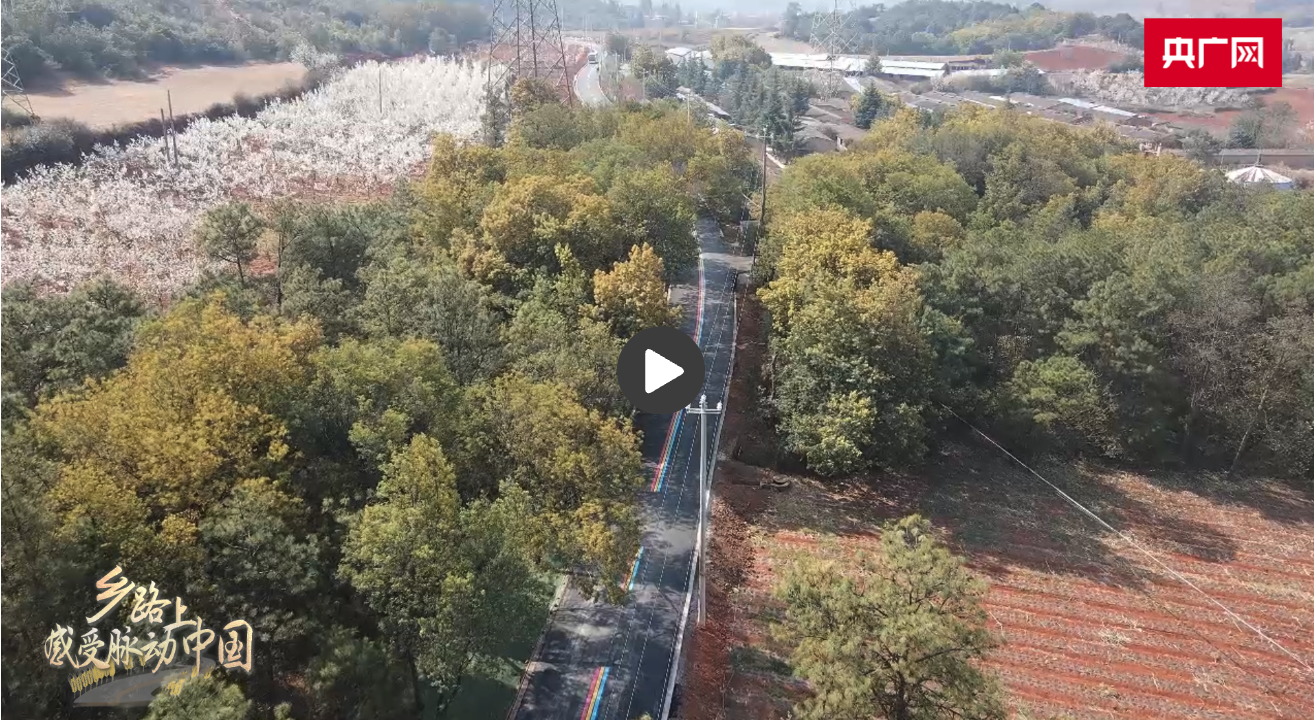 截屏2025-05-02 09.36.20