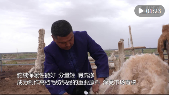 wechat_2025-05-02_191626_960