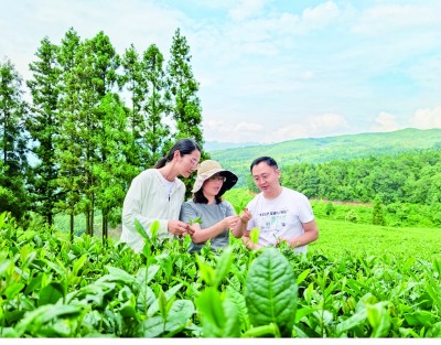 这就是青春最飒的英姿——“青马工程”学员与他们所钟爱的事业