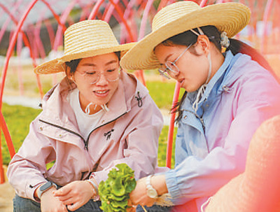 云南咖啡何以味更香?人民日报要闻版头条解读