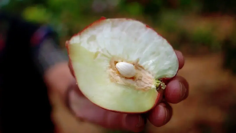 9dbf793c6c09d15a118b30ed8e6936bb