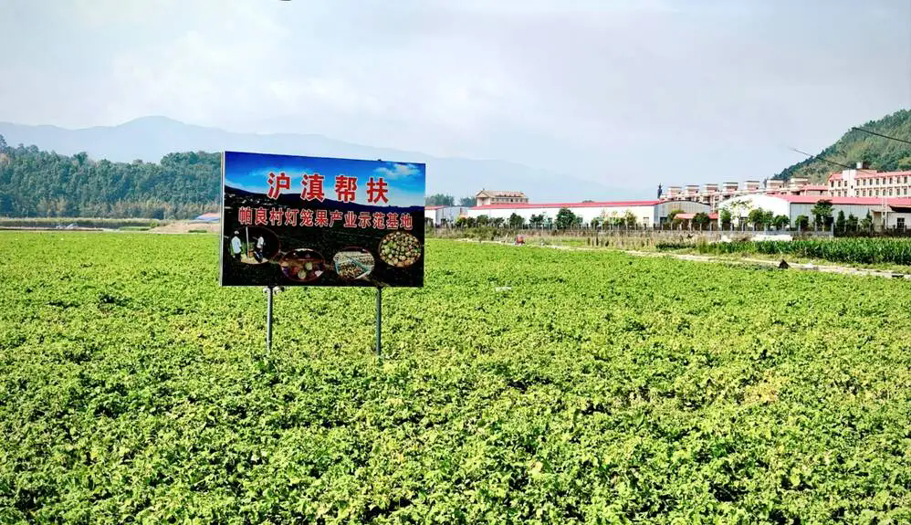 640_wx_fmt=jpeg&tp=webp&wxfrom=5&wx_lazy=1.webp (7).png