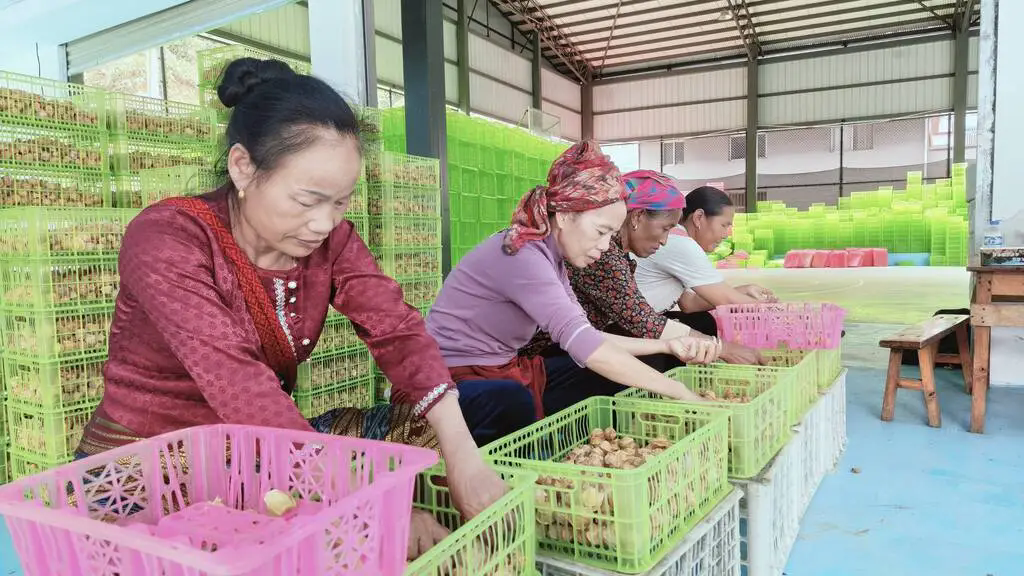 640_wx_fmt=jpeg&tp=webp&wxfrom=5&wx_lazy=1.webp (8).png