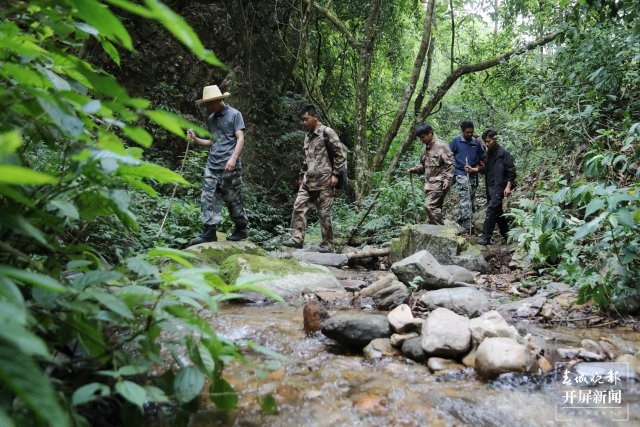 林草部门工作人员现场调查2 杨廷荣 摄.JPG