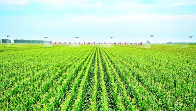 【携手奔赴现代化的明天】这么一“升级”,吉林农业真的变了! 【携手奔赴现代化的明天】这么一“升级”,吉林农业真的变了!