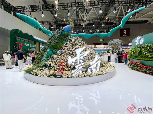 缤纷呈异彩 奋进正当时——云南参展深圳文博会综述