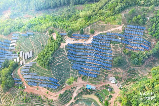 国内单体最大茶光互补项目中广核云南墨江碧溪235兆瓦光伏电站并网发电 (2).jpg