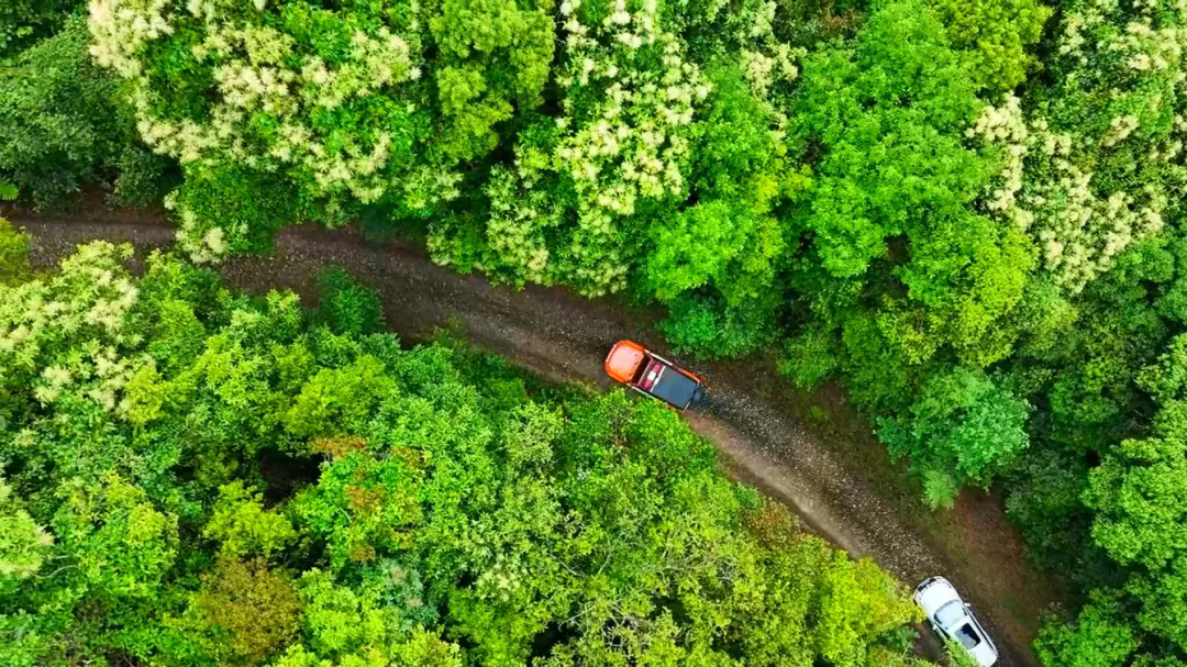 1748484222524298.png 640_wx_fmt=jpeg&from=appmsg&tp=webp&wxfrom=5&wx_lazy=1.webp.png