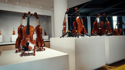 105012025052600020115