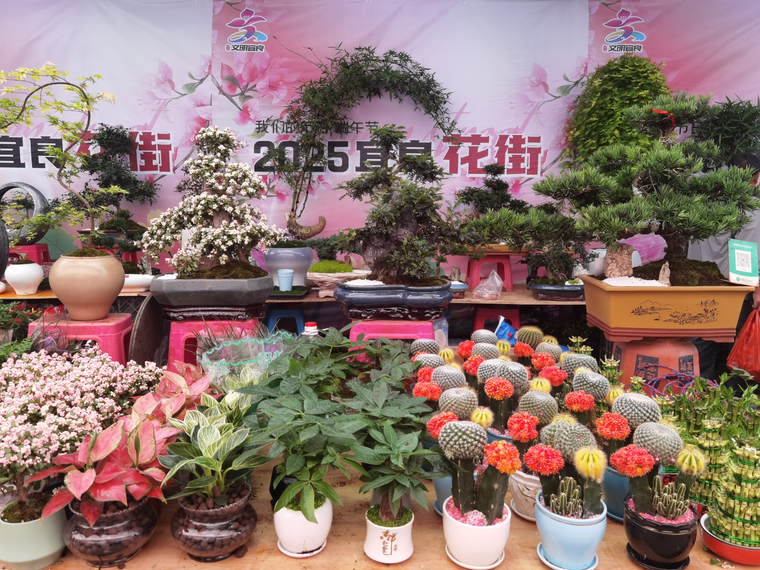 d907d3be30952a398736627e66ce2512